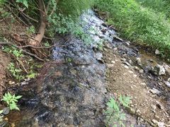 -白水寺森林公园