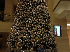 -新发展亚太JW万豪酒店·福苑咖啡厅