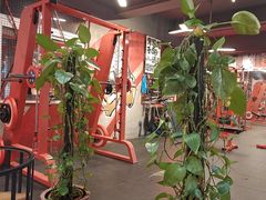 -KingBull私教健身&格斗订制(龙井商业中心店)