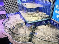 -青蓬蒸汽海鲜·深圳老字号·团建聚会(壹方城店)