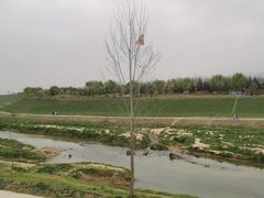 -洨河生态公园