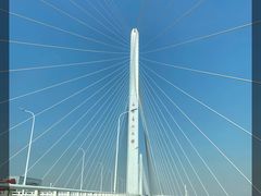 -上海崇明金茂凯悦酒店