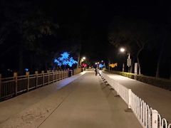 -白洋淀景区