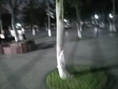 -河泥荡文化公园