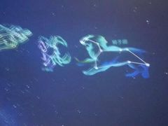 -芜湖方特东方神画