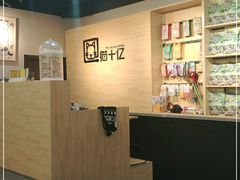 -猫十亿·布偶金渐层·曼基康矮脚猫舍(青年路店)