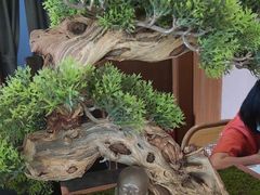 -端艾堂·SPA·艾灸(棕榈泉013店)