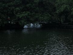 -荔湾湖公园