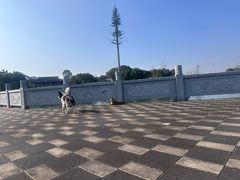 -八大山人梅湖景区