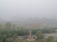 -前关湿地公园