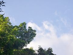 -光明港公园