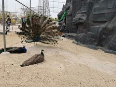 -兴芮温泉度假区