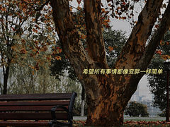 -橘子洲景区