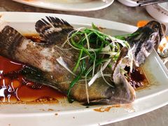 石斑鱼清蒸-四川小胡子海鲜(丁村万人海鲜广场店)