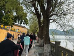 -鸣鹤古镇