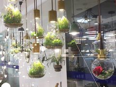 -张士灯具城(家居优选店)