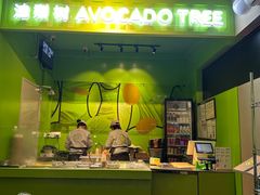 -油梨树AVOCADO TREE(顺义新国展店)