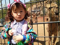 -大连森林动物园