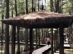 -溱湖国家湿地公园