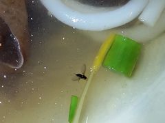 小虫子-陈记柳州螺蛳粉(大坪店)