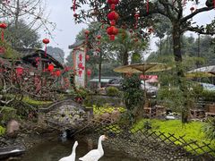 -青城甲(青城山店)