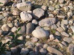 android_upload_pic-白塘生态植物园