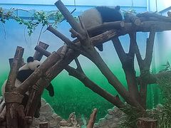 -南宫五洲植物乐园