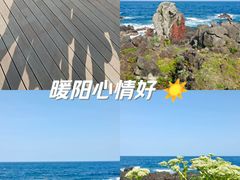 -涉地可支