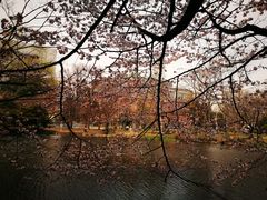 -北海道厅旧本厅舍(旧本庁舎)