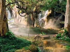 -Chom Cafe and Restaurant