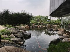 -罗红摄影艺术馆