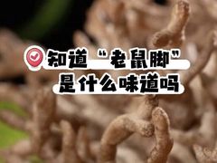 -畲乡一品鱼府土菜馆