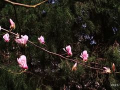 -东华门大街小区