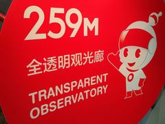 -东方明珠广播电视塔