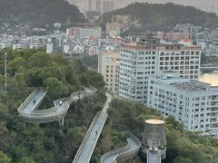 -福道