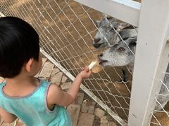 -杨柳青庄园
