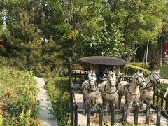 -武清南湖绿博园