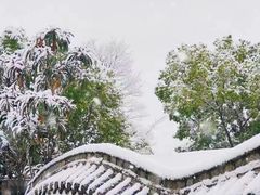 -阆辣荟餐饮(老味道8年·古城店)