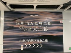-深圳湾万象城(南山店)