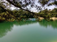 -广州市流溪河国家森林公园