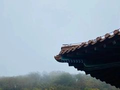 -临江·阅炉