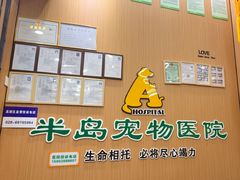 -半岛宠物医院24小时·内窥镜·牙科·碎石中心(府城大道店)