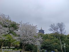 -浙江西子宾馆·瑶园咖啡厅