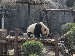 -五龙山野生动物王国