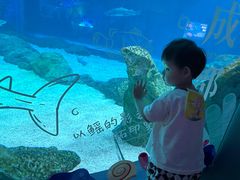 -海合安成都极地海洋公园