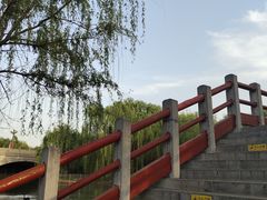-洛阳市隋唐城遗址植物园