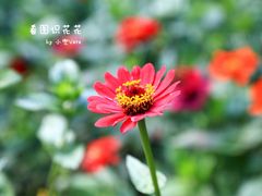 -吉林大学(南岭校区)