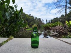 -深圳仙湖植物园