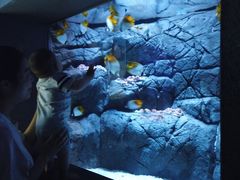 -成都浩海立方海洋公园