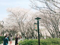 -范蠡湖公园